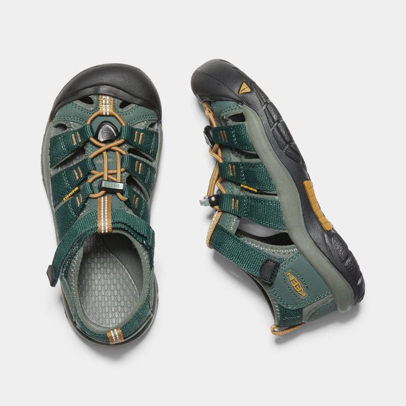 Keen サンダル | キーン ニュー ポート h2 サンダル キッズ 深い緑 | Keen Newport H2 | 593120-NMI